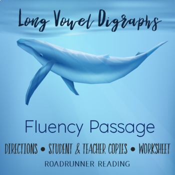 Preview of Long Vowel Digraphs Fluency Passage