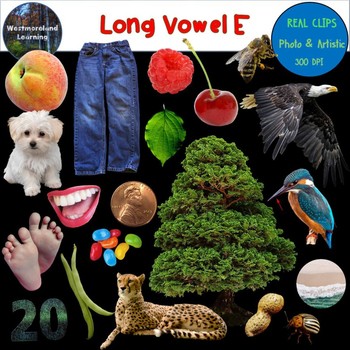 Preview of Long Vowel E Clip Art Phonics Set Photo & Artistic Digital Stickers