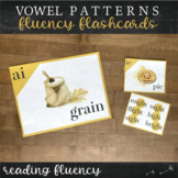 Long Vowel Patterns Reading Fluency Flashcards