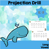 Long Vowel Projectable Drill Sight and Sound Orton- Gillin