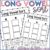 Long Vowel Sorting Phonics Practice with CVCe Words