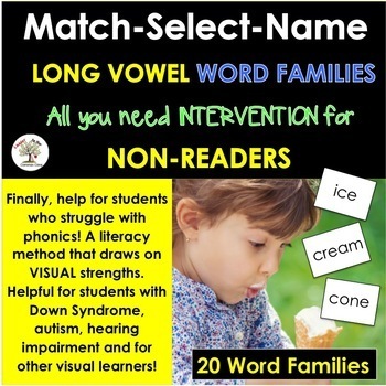 Preview of GUIDED READING BOOKS INTERVENTION Long Vowel Word Families K-1st Special Ed.