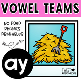 AY Vowel Teams No Prep Phonics Printables with Color Posters