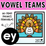 EY Vowel Teams No Prep Phonics Printables with Color Posters