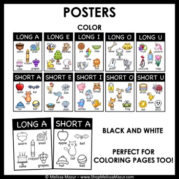 Long and Short Vowel Posters and Word Sort Cards - With Pictures!