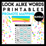Bundle: Look Alike Words - Printables
