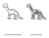 Look At The Dinosaur Fossil guided reading and coloring bo