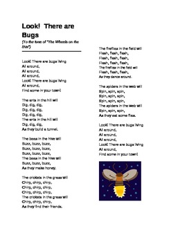 Preview of Look! There Are Bugs Song for Preschool/ Kindergarten