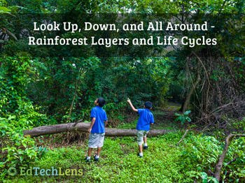 Preview of What Lives in a Rainforest, Traits, & Why Habitats Need Water & Light Unit eBook