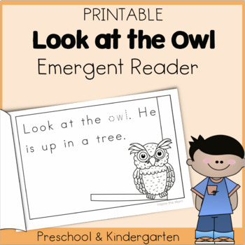 Preview of Look at the Owl Emergent Reader for Preschool & Kindergarten-Sight Word Practice