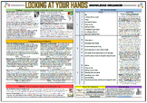 Looking At Your Hands - Knowledge Organizer/ Revision Mat!