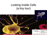 Looking Inside Cells:  A Tiny Tour of the Organelles