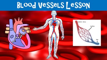 Preview of Blood Vessels No Prep Lesson with Power Point, Worksheet and Word Search