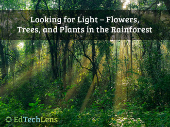 Preview of Trees, ­­Flowers, Other Plants, and Fungi in a Rainforest Habitat Unit eBook