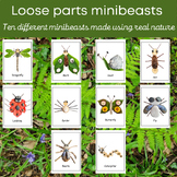 Loose parts nature minibeasts