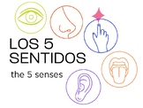 Los 5 Sentidos - Five Senses - Presentación/Lección