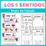 Los 5 sentidos | Five senses in Spanish (worksheets)