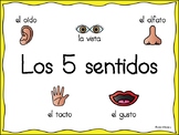 Los 5 sentidos/The 5 Senses