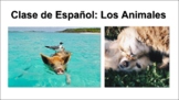 Los Animales Animals Spanish Presentation Presentación Beg