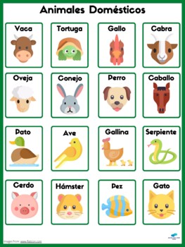 Animales Domesticos Teaching Resources | TPT