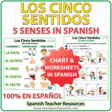 Los Cinco Sentidos - Five Senses in Spanish