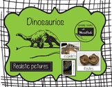 Montessori Los Dinosaurios (adjetivos)