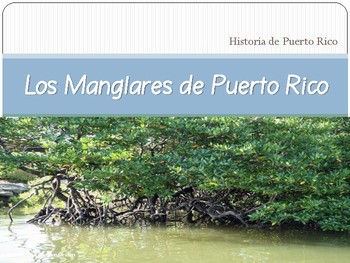 Preview of Los Manglares de Puerto Rico