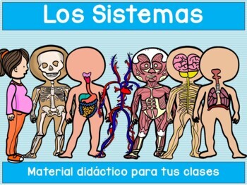 Preview of Los Sistemas- actividades y juegos - cuerpo humano -Spanish Resources Bundle