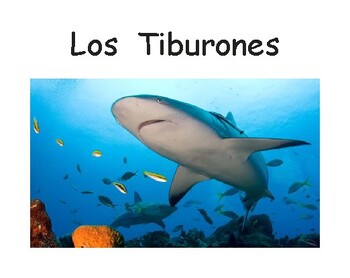 Preview of Los Tiburones – Sharks Spanish Version