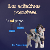 Los adjetivos posesivos Spanish Possessive Adjectives Powe