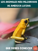 Los animales más peligrosos de América Latina que debes co