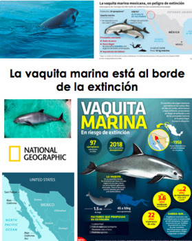 Preview of Los desafíos mundiales: La vaquita marina peligro de extinción | Lectura y Video