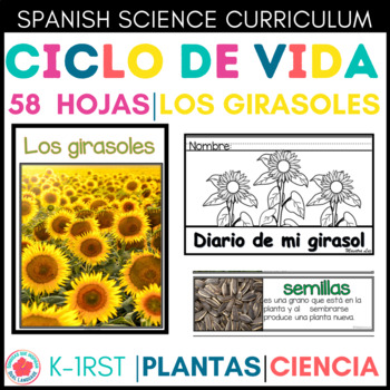 Ciclo De Las Plantas Teaching Resources | TPT