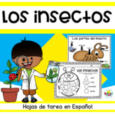 Los insectos en español | Insects in Spanish Worksheet