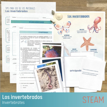 Preview of Los invertebrados - Unidad de estudio - Invertebrates Unit Spanish STEAM