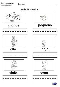 Los opuestos 2nd grade by Senora Platero | Teachers Pay Teachers