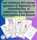 Los sistemas del cuerpo agrupan el digestivo, el reproduct