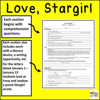 the book love stargirl