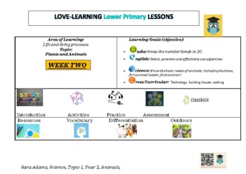 Preview of LoveLearningOnline Lesson plans Year 2 / Grade 1