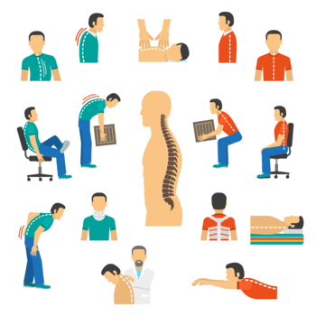 Physical therapy exercises for lower back pain Vector Image