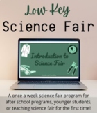 Low Key Science Fair