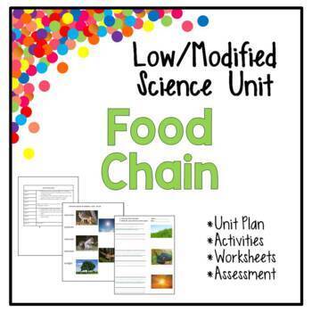 Preview of Low / Modified Food Chain Unit | Unit Plan Worksheets Activities Test