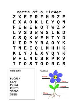 lower elementary parts of a flower word search by heather tetzlaff