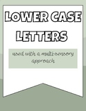 Occupational therapy lower case letter visuals