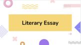 Lucky Calkins Teacher Guide Literary Essay