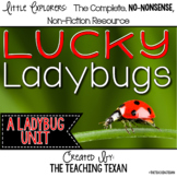 Lucky Ladybugs:  A Non-Fiction Ladybug Unit