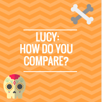 Preview of Lucy Australopithecus Compare and Contrast
