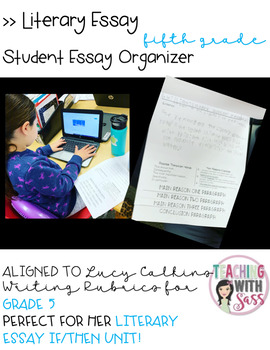 Preview of Lucy Writing Organizer: Literary Essay Writing Flip Book