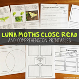 Luna Moth Close Read | Luna Moth Lifecycle