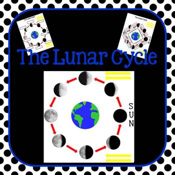 Lunar Cycle/Moon Phases Labeling Diagram by The 